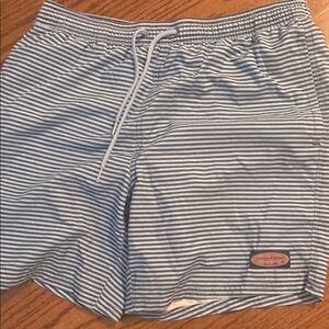 Striped Blue Swim Shorts